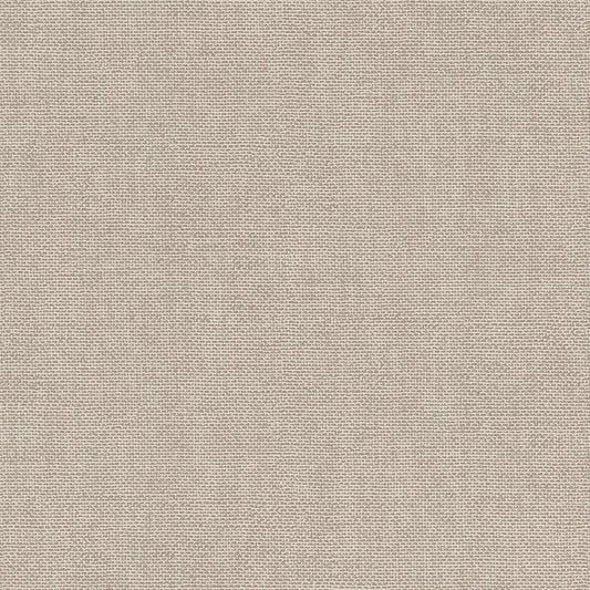 輸入壁紙 rasch / ラッシュ / 312164