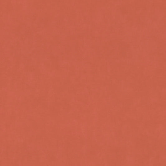 輸入壁紙 rasch / ラッシュ / 330113