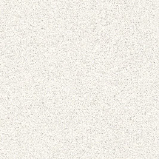 【切売】輸入壁紙 rasch / ラッシュ 2020 / 898231 (Sparkling)