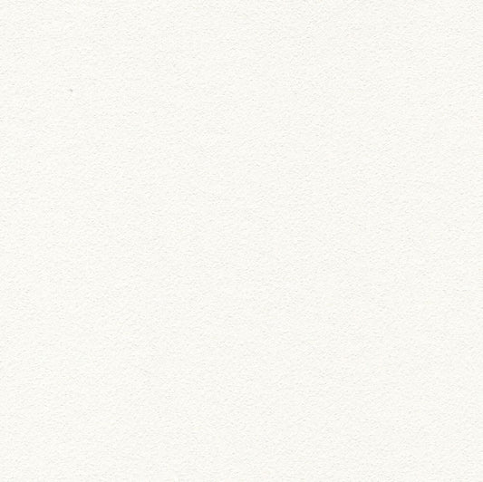 BB-2017 壁紙 のりなし クロス / シンコール / ベスト ホワイトの無地【サンプル】