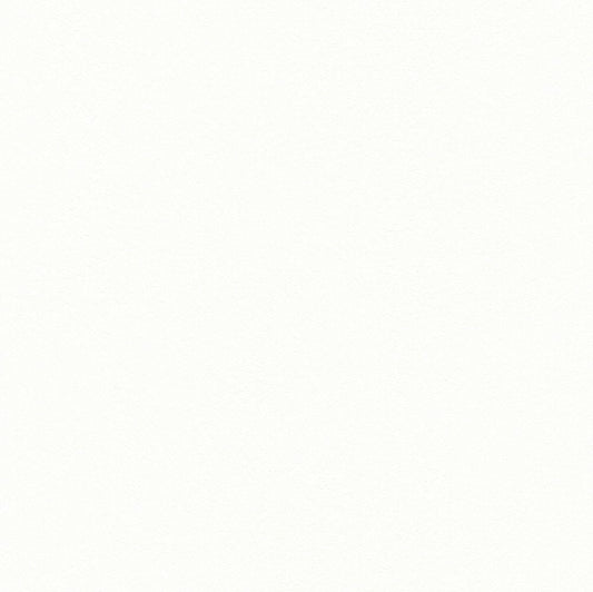 BB-2020 壁紙 のりなし クロス / シンコール / ベスト ホワイトの無地【サンプル】