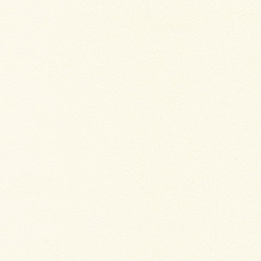 BB-2024 壁紙 のりなし クロス / シンコール / ベスト ホワイトの無地【サンプル】