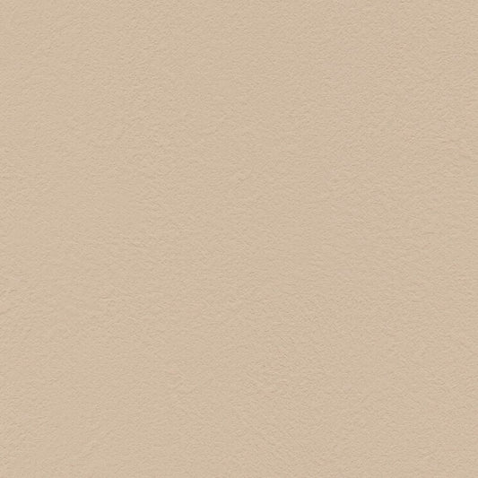 BB-2204 BA-7373 壁紙 のりなし クロス / シンコール / ベスト ベージュの無地【サンプル】