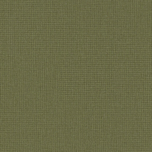 BB-2319 壁紙 のりなし クロス / シンコール / ベスト グリーンの無地【サンプル】