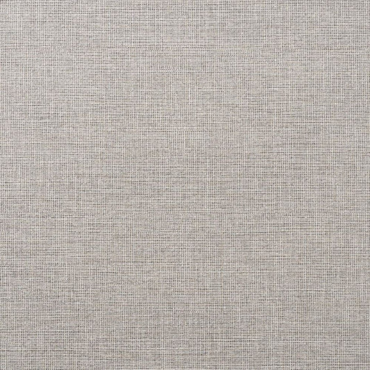 C25-2008 壁紙 のりなし クロス / ルノン / フレッシュ 消臭タイプ【サンプル】