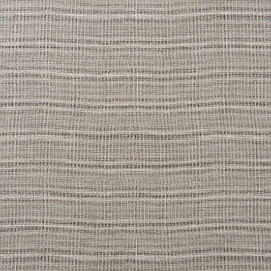 C25-2010 壁紙 のり付き クロス / ルノン / フレッシュ 消臭タイプ【10m+施工道具セット】