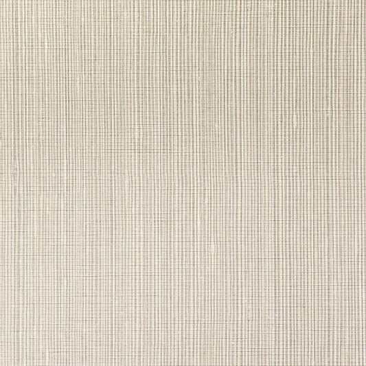 C25-2097 壁紙 のり付き クロス / ルノン / フレッシュ 消臭タイプ【10m+施工道具セット】