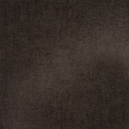 C25-2119 俯瞰画像