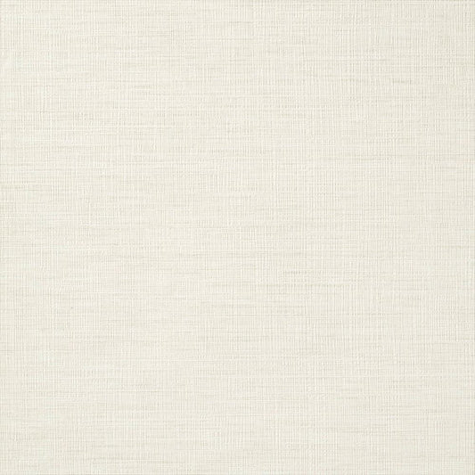 C25-2142 壁紙 のり付き クロス / ルノン / フレッシュ 消臭タイプ【30m+施工道具セット】