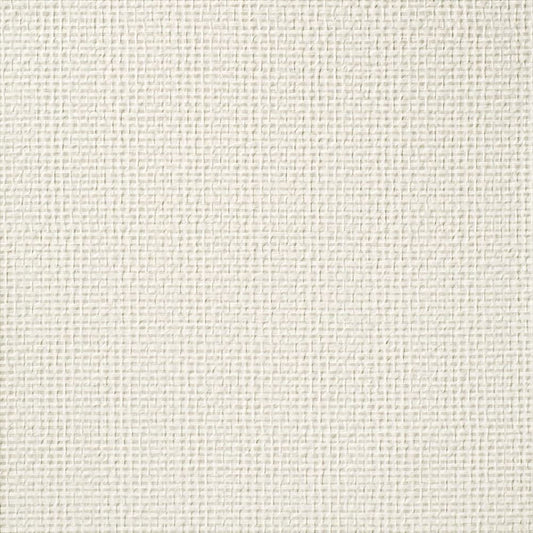 C25-2154 壁紙 のり付き クロス / ルノン / フレッシュ 消臭タイプ【15m+施工道具セット】