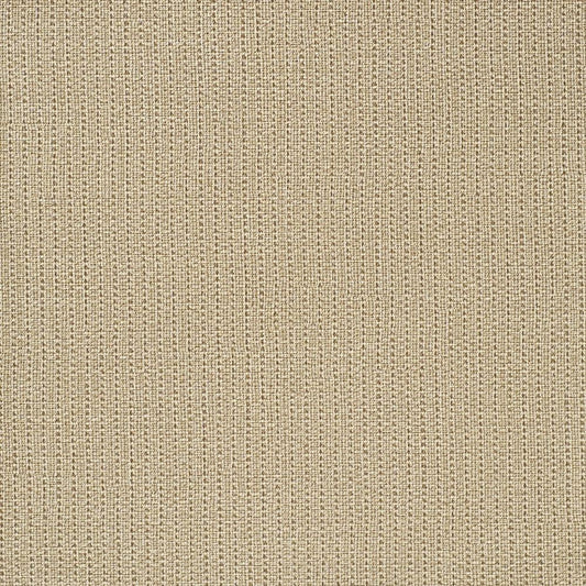 C25-2157 壁紙 のり付き クロス / ルノン / フレッシュ 消臭タイプ【15m+施工道具セット】
