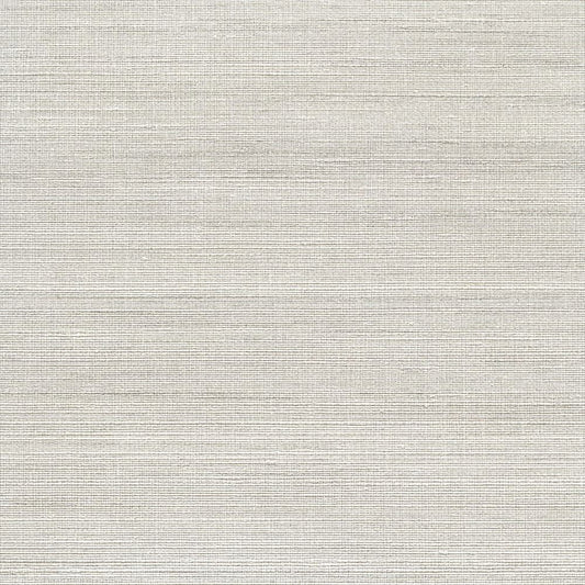 C25-2230 壁紙 のり付き クロス / ルノン / フレッシュ 消臭タイプ【30m+施工道具セット】