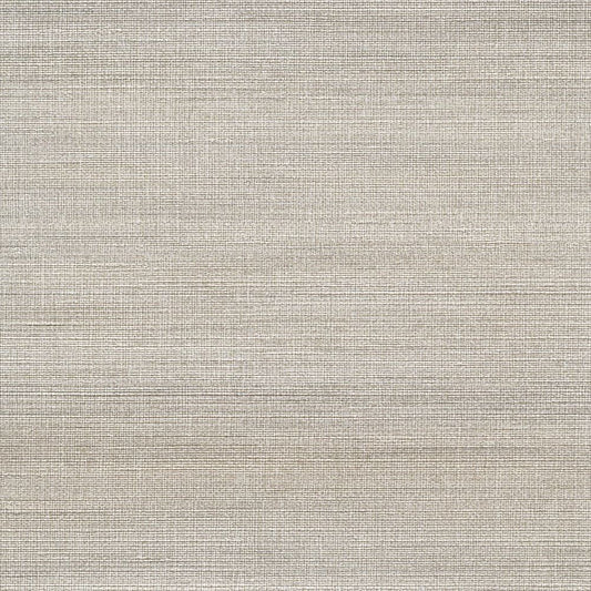 C25-2231 壁紙 のりなし クロス / ルノン / フレッシュ 消臭タイプ【サンプル】