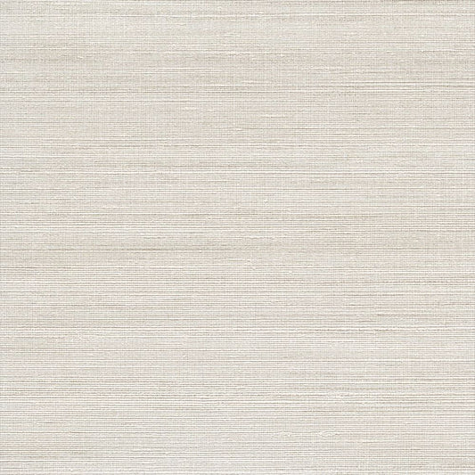 C25-2234 壁紙 のり付き クロス / ルノン / フレッシュ 消臭タイプ【10mパック】