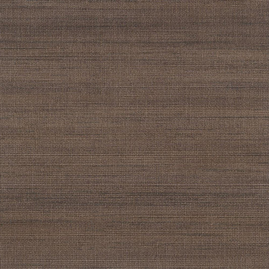 C25-2238 壁紙 のり付き クロス / ルノン / フレッシュ 消臭タイプ【10m+施工道具セット】