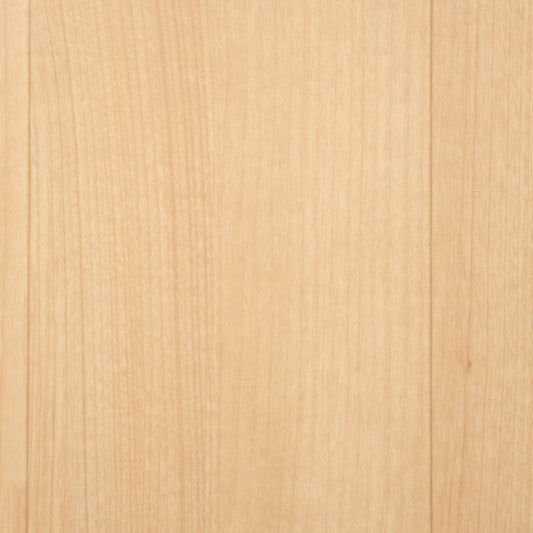 【サンプル】住宅用 クッションフロア 東リ / 木目柄 CF-9643