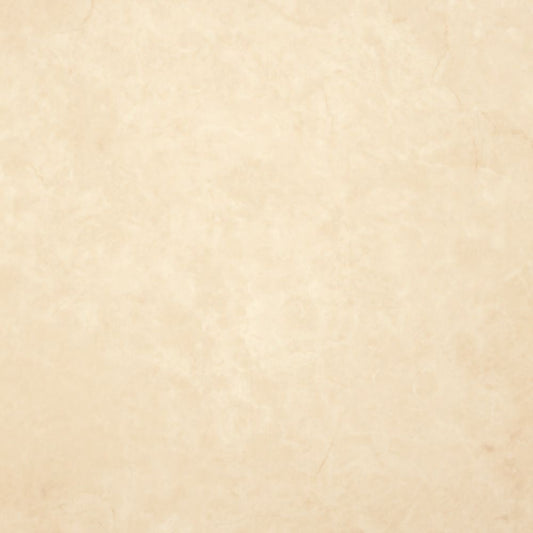 【サンプル】住宅用 クッションフロア 東リ / 大理石柄 CF-9658