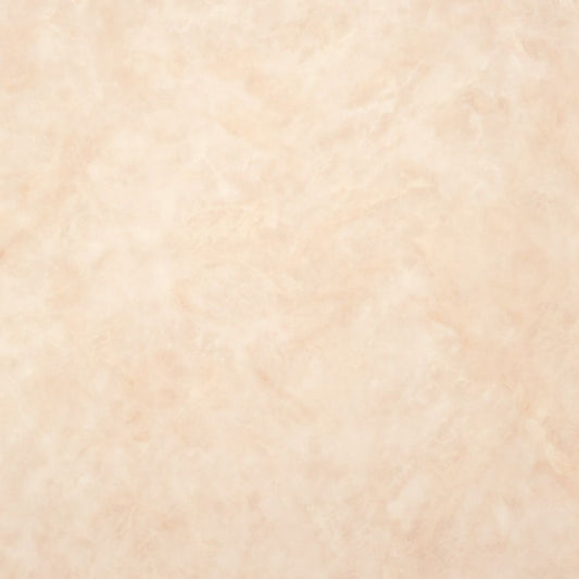 【サンプル】住宅用 クッションフロア 東リ / 石目柄 CF-9663