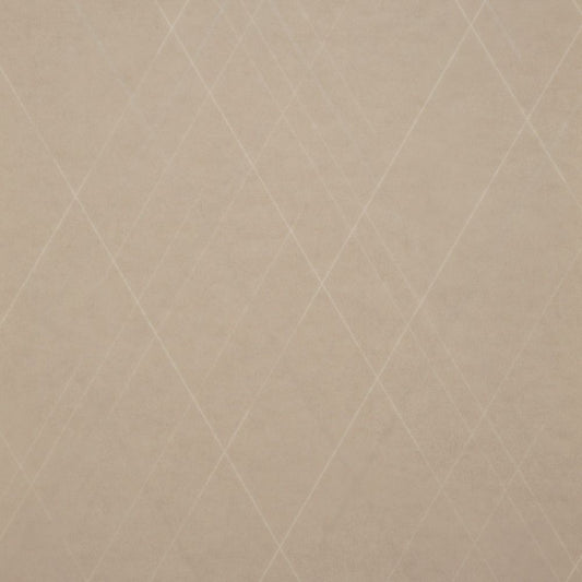 【サンプル】住宅用 クッションフロア 東リ / 石目柄 CF-9670