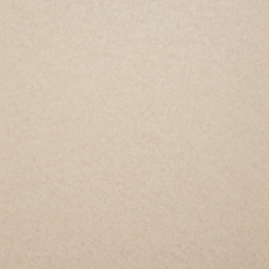 【サンプル】住宅用 クッションフロア 東リ / 無地 CF-9690