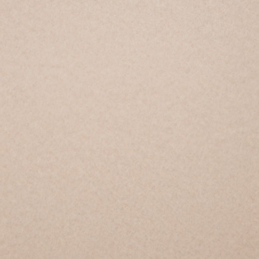 約91cm幅 住宅用 クッションフロア【91cm×10m巻 2本セット】 東リ / 無地 CF-9691