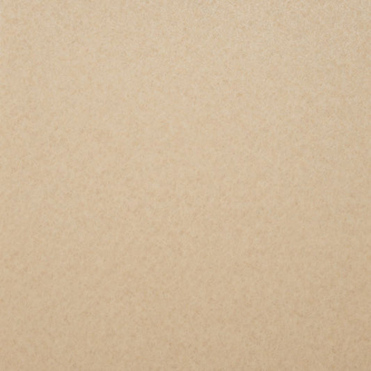 約91cm幅 住宅用 クッションフロア【91cm×10m巻 2本セット】 東リ / 無地 CF-9692