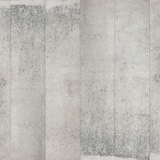 【切売】輸入壁紙 NLXL CONCRETE WALLPAPER BY PIET BOON(Holland) CON-05