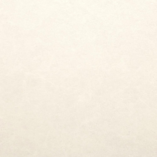 【サンプル】住宅用 クッションフロア シンコール / 石目柄 E-1077