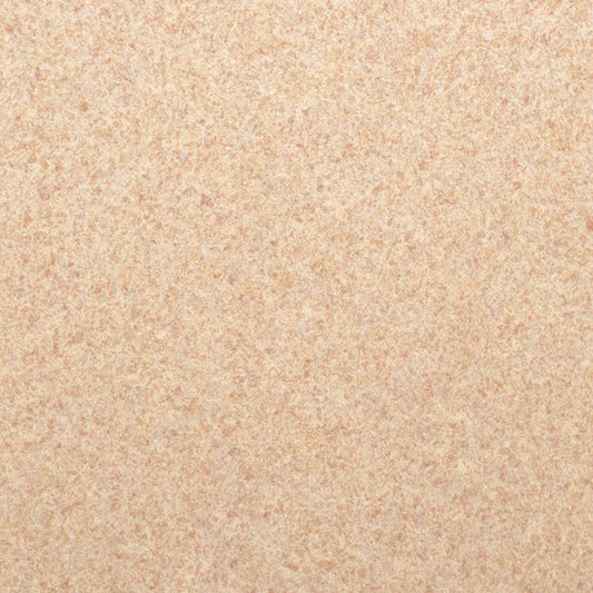 【サンプル】住宅用 クッションフロア シンコール / 石目柄 E-1101