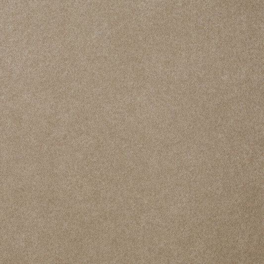 【サンプル】国産壁紙 クロス / グレージュセレクション FE-76140