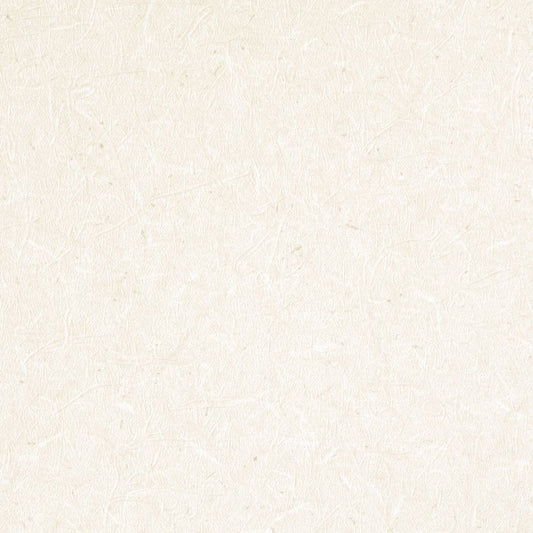 【サンプル】国産壁紙 クロス / 和柄 和紙 セレクション FE-76516