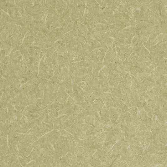 【サンプル】国産壁紙 クロス / 和柄 和紙 セレクション FE-76521