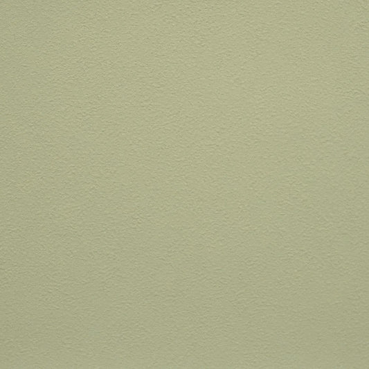 生のり付き壁紙 / モリス・クロニクルズプレーンズパレット FE-76031