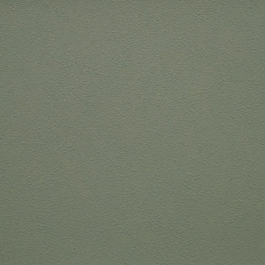 生のり付き壁紙 / モリス・クロニクルズプレーンズパレット FE-76032