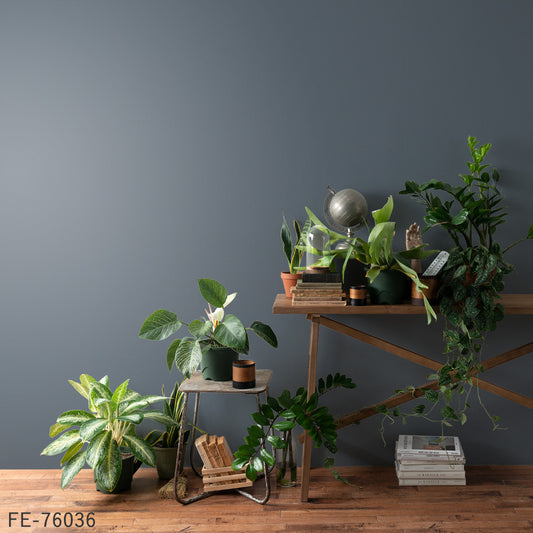 生のり付き壁紙 / モリス・クロニクルズプレーンズパレット FE-76036