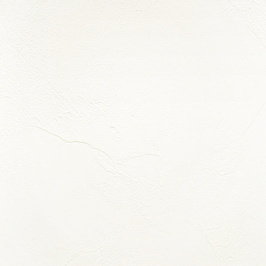 【サンプル】 国産壁紙 クロス / 抗アレルセレクション FE-76339