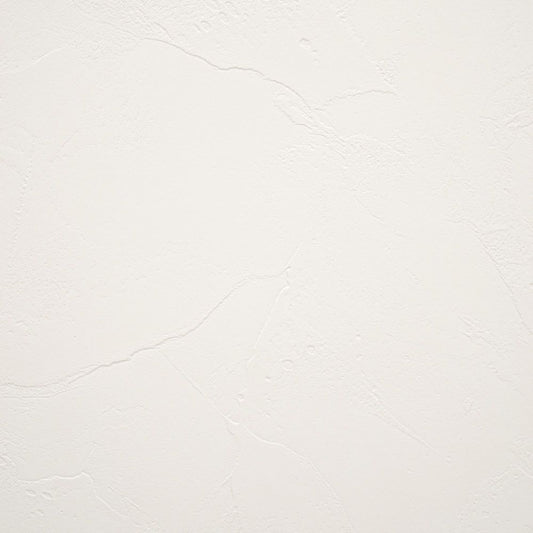 【サンプル】国産壁紙クロス / 抗アレル グレージュセレクション FE-76341