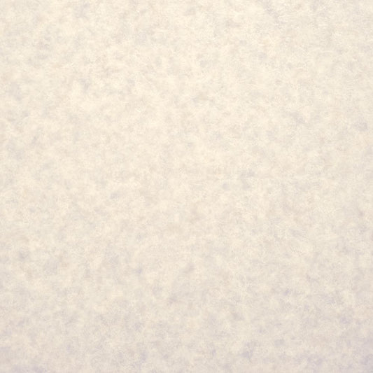 【サンプル】住宅用 クッションフロア サンゲツ / 無地 HM-12157