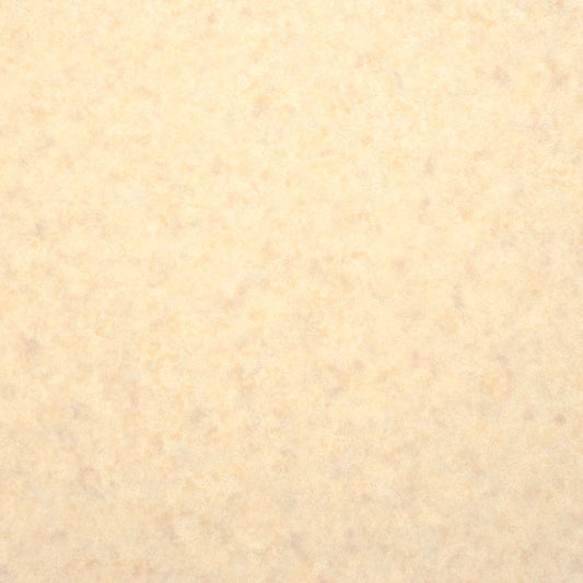 約91cm幅 住宅用 クッションフロア【91cm×10m巻 2本セット】 サンゲツ / 無地 HM-12159