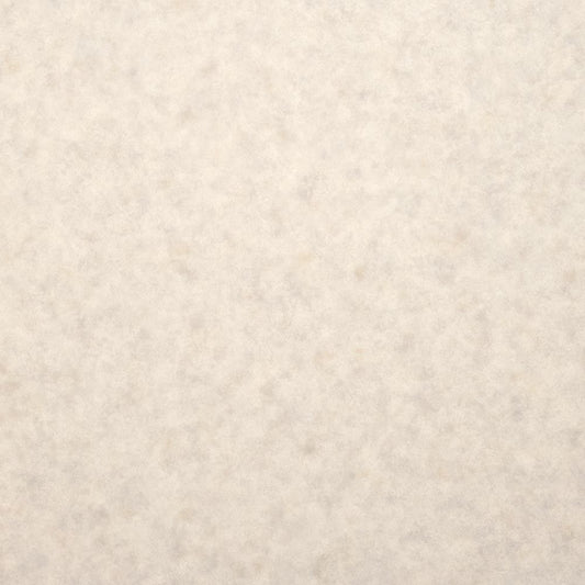 ペット向け クッションフロア わんにゃん消臭フロア【182cm×15m巻】 サンゲツ / 無地 HW-12200