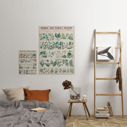 セット買いで超お得! Hattan Art Poster ハッタン アートポスター アソートパック 植物図鑑セット