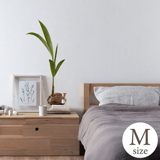 貼ってはがせる Botanical Sticker ボタニカルステッカー Mサイズ ココヤシ HMST-BTS-M05