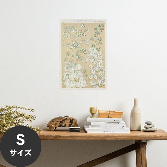 Hattan Art Poster ハッタンアートポスター Leaves from Nature No.6 / HP-00260 Sサイズ(30cm×45cm)