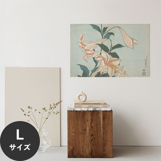 Hattan Art Poster ハッタンアートポスター 葛飾北斎 百合 / HP-00547 Lサイズ(90cm×60cm)