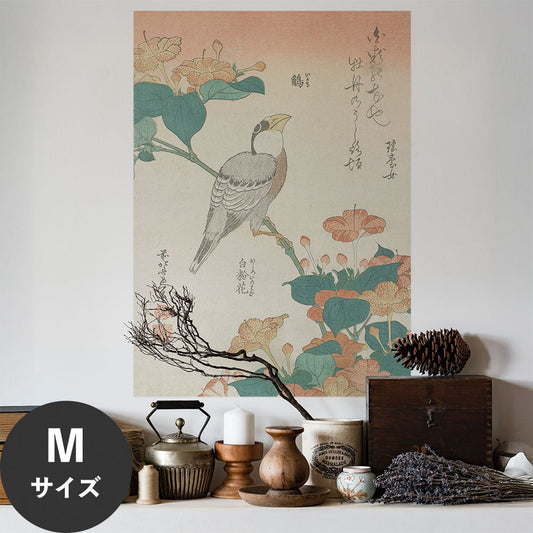 Hattan Art Poster ハッタンアートポスター 葛飾北斎 鵤 白粉花 / HP-00550 Mサイズ(45cm×64cm)