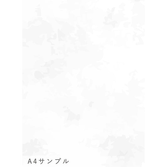 NWSE-OK01サンプル