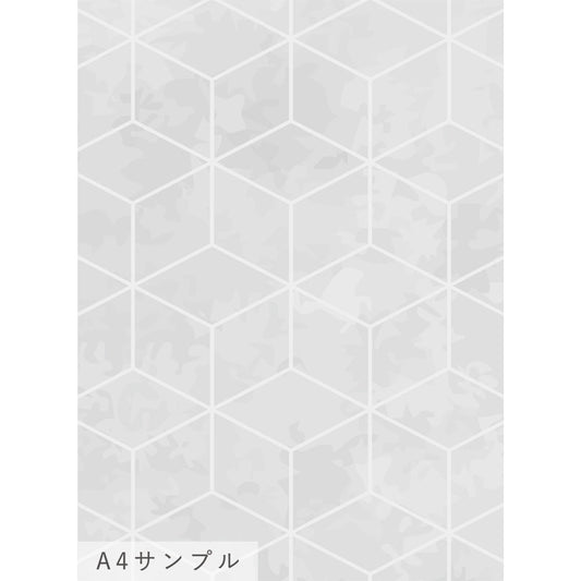 NWSE-TS03サンプル