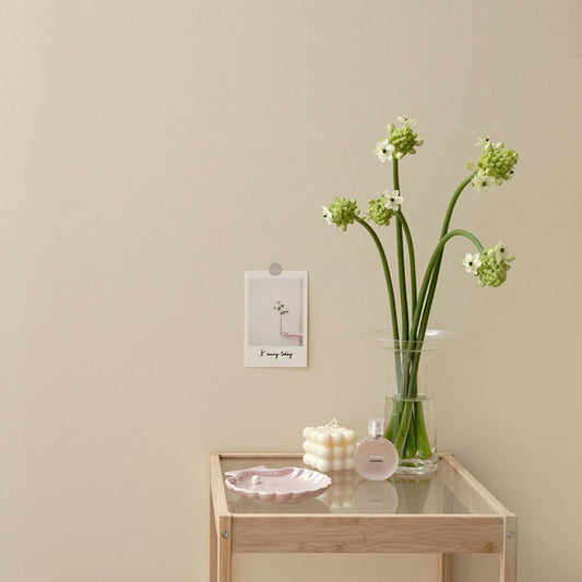 イマジンウォールペイント 2L マカロンペイント 【268】Vanilla バニラ