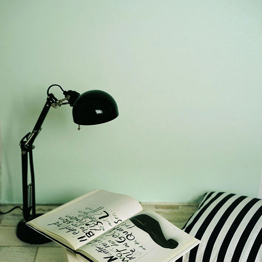 イマジンウォールペイント 500ml スタンダードカラーズ 【030】 Mint candy ミントキャンディー