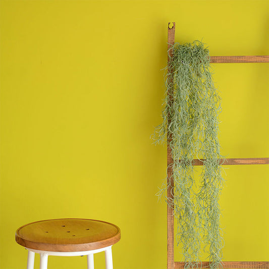 イマジンウォールペイント 2L MUMU PAINT(ムームーペイント) 【170】 MiMi ミミ